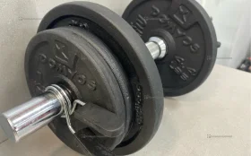 Купить Гантеля разборная Domyos 12kg б/у , в Самара Цена:1500рублей
