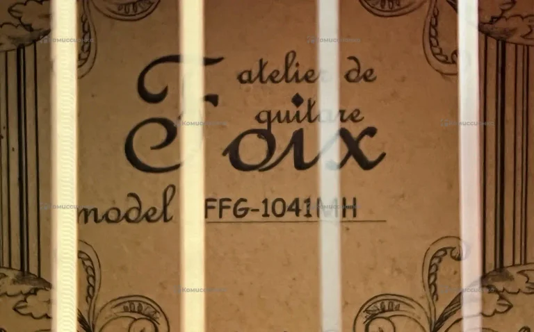 Гитара Foix FFG-1041MH