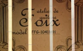 Купить Гитара Foix FFG-1041MH б/у , в Рязань Цена:3500рублей