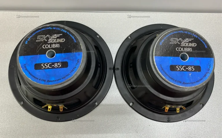 Колонка  SkySound Colibri