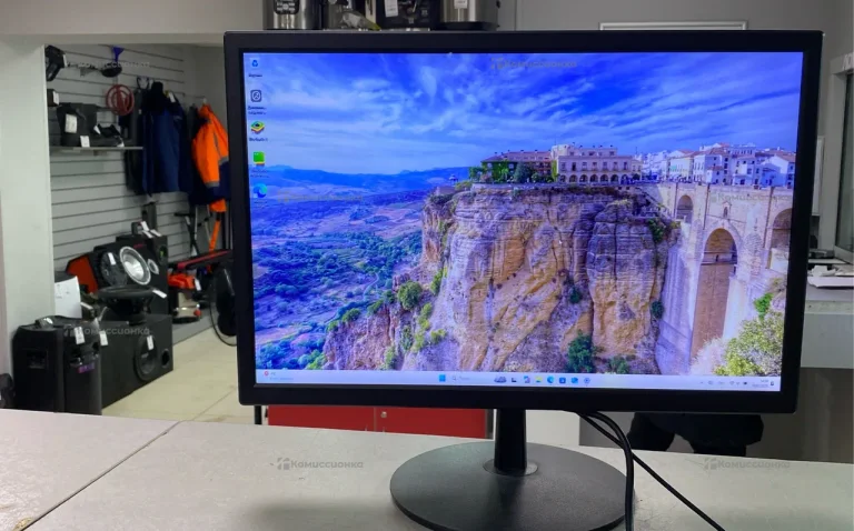 Монитор  Carcam LED19A Monitor