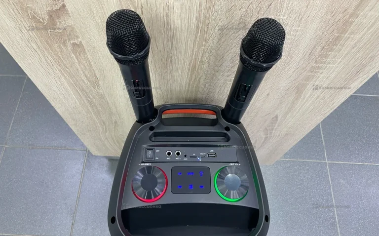 Колонка ZQS8281