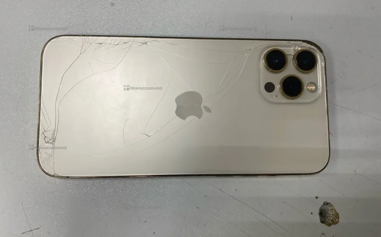 Apple iPhone 12 Pro Max 6/512 ГБ