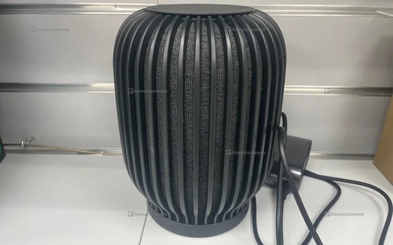 SberBoom Model:SBDV-00090