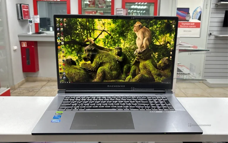 Ноутбук  MACHENIKE LIGHT 17