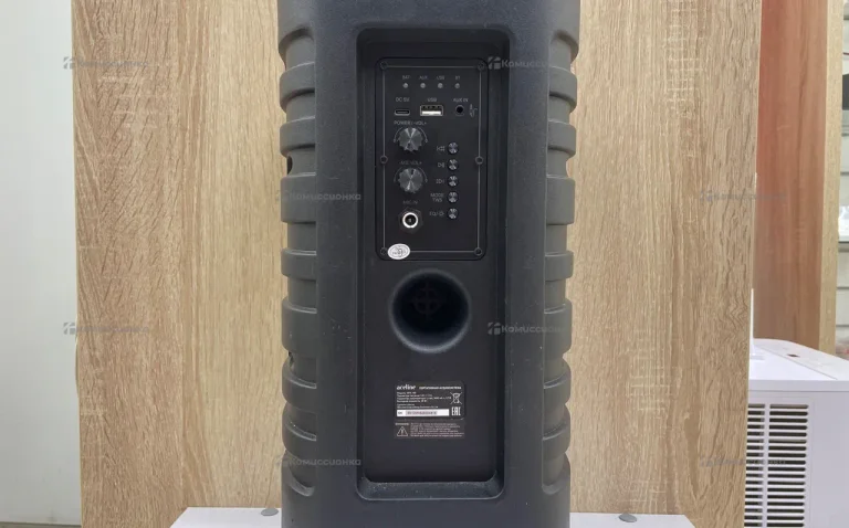 Портативная аудиосистема Aceline APA-100