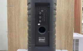 Купить Портативная аудиосистема Aceline APA-100 б/у , в Набережные Челны Цена:1900рублей