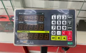 Купить Весы  напольные mertech m-er turtle 300 кг б/у , в Набережные Челны Цена:9900рублей