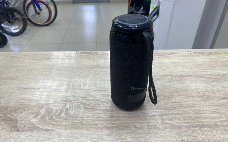 портативная колонка T&amp;G TG-645