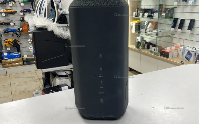 Колонка  Sony see-xe300