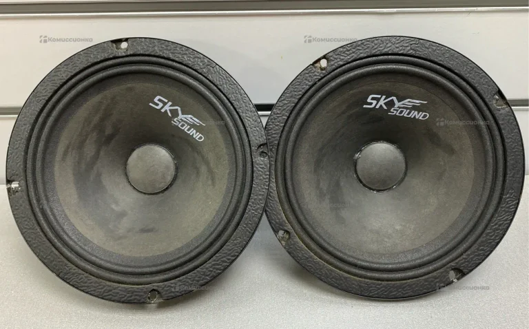 Колонка  SkySound Colibri