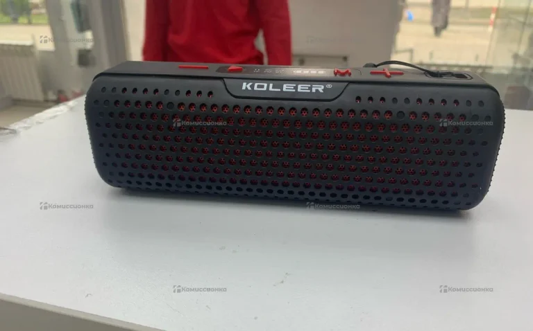 Колонка  koleer s883