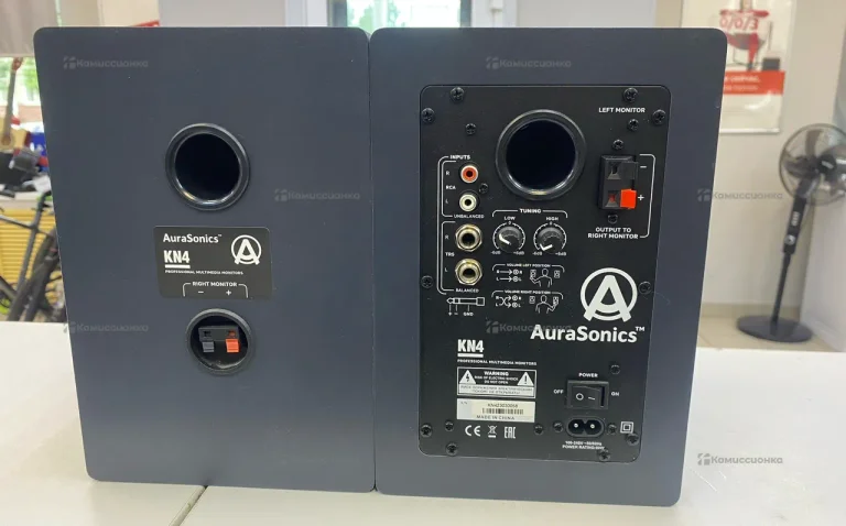 колонки aurasonicskn4