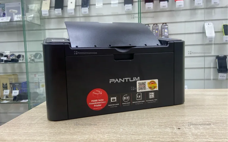 Pantum P2207