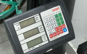 Купить Весы Гарант ВПН-150М б/у , в Челябинск Цена:1900рублей