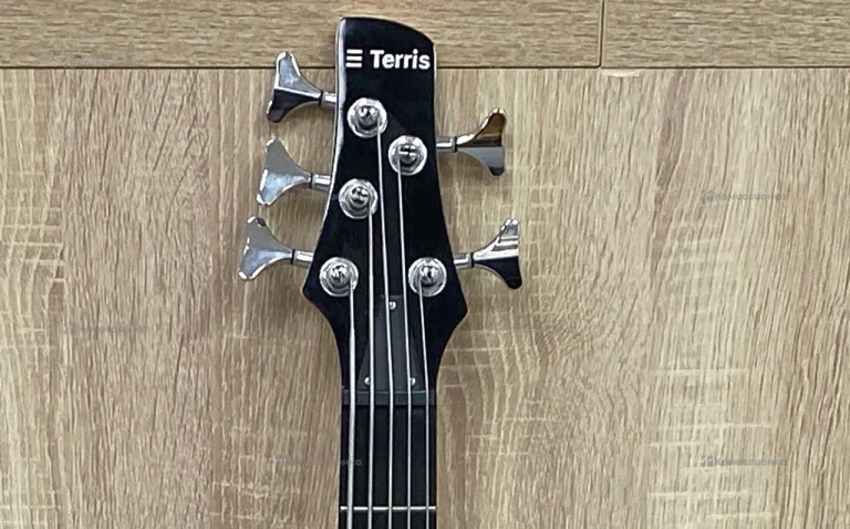 Гитара Terris