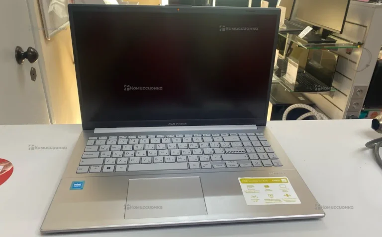 ASUS VivoBook Go 15