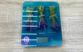 Купить Кухонные весы б/у , в Магнитогорск Цена:290рублей