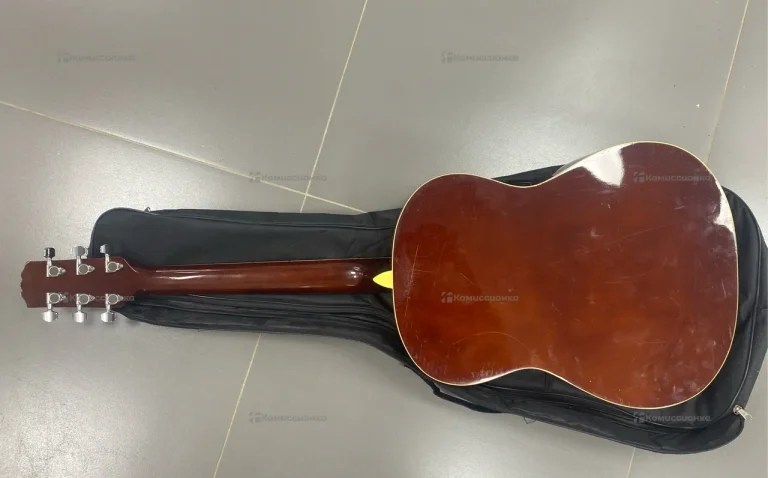 Гитара Euphony EW-100 3TS