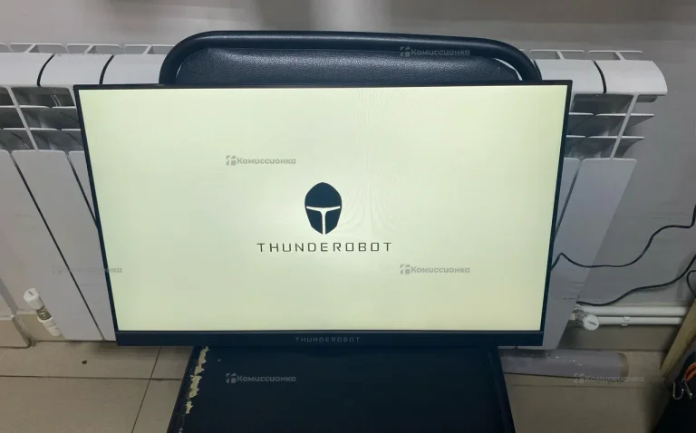 Монитор ThunderRobot DF24H100