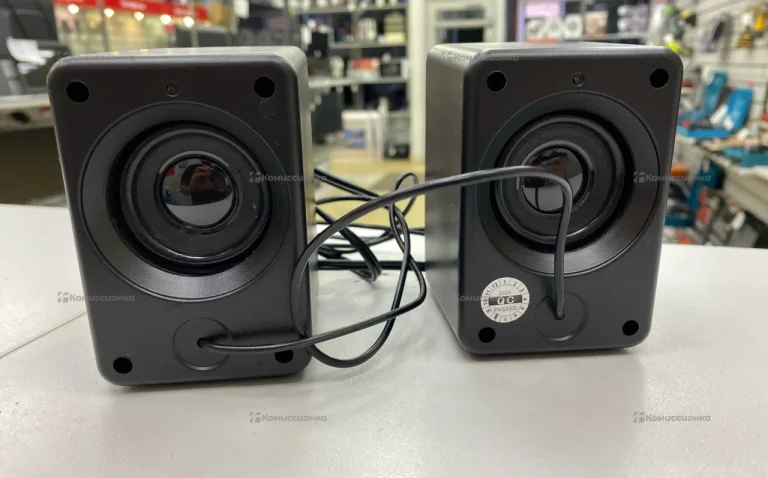 Колонка  Dexp R500