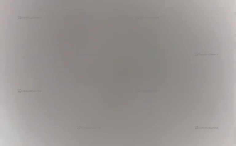Мышка 1