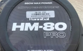 Купить Колонка Hannibal HM-80 pro б/у , в Энгельс Цена:2500рублей