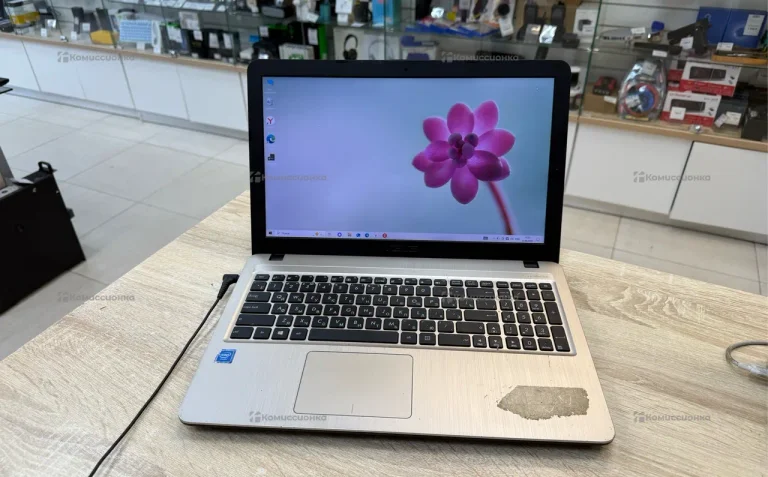 Ноутбук ASUS Celeron N4000