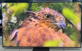 Купить Телевизор TCL 75C855 б/у , в Екатеринбург Цена:64990рублей