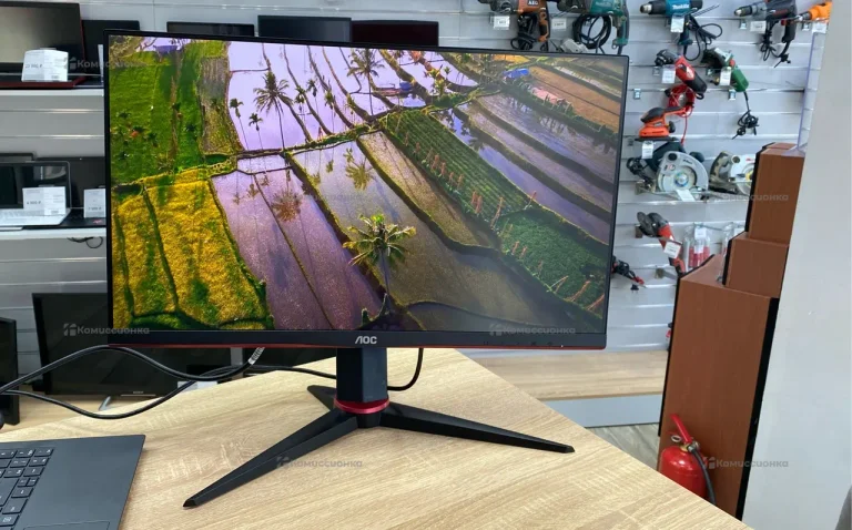 Игровой монитор AOC 24G2U5/BK