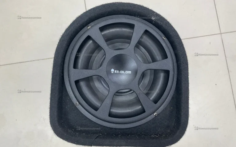 Сабвуфер E5-Olom 10” 1600w