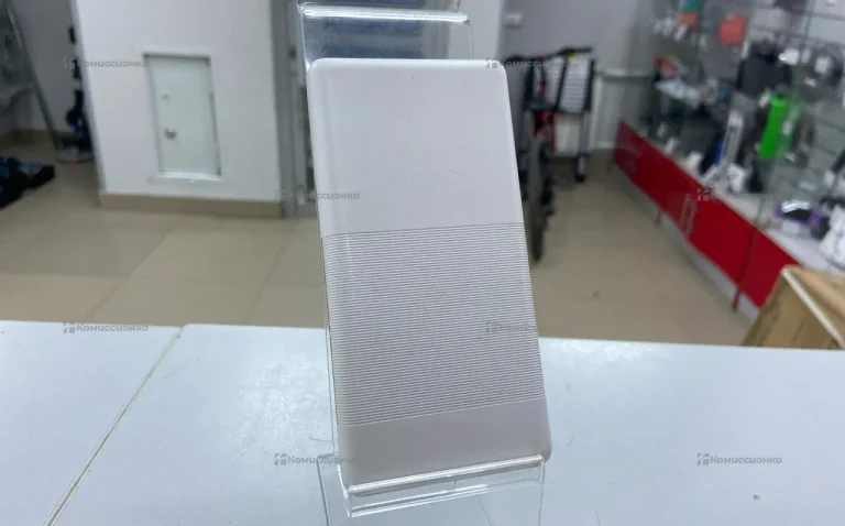 Power Bank  RP-21 10000