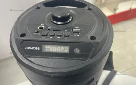Купить Колонка ZQS4239S б/у , в Симферополь Цена:1500рублей
