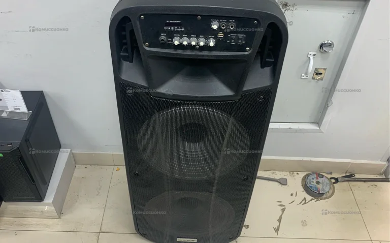 Колонка  Aiwa-P256