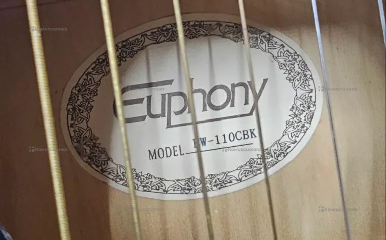 Гитара euphony ew-110cbk