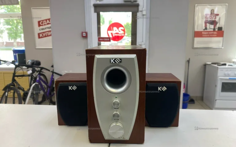 Колонки ViGOOLE E5103