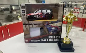Купить Радиоуправляемая машинка Rally Extreme б/у , в Уфа Цена:1500рублей