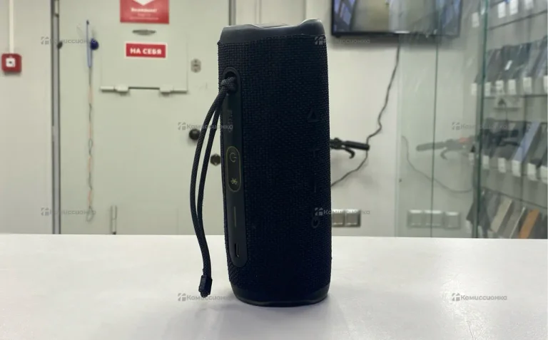 Портативная акустическая система JBL Flip 6